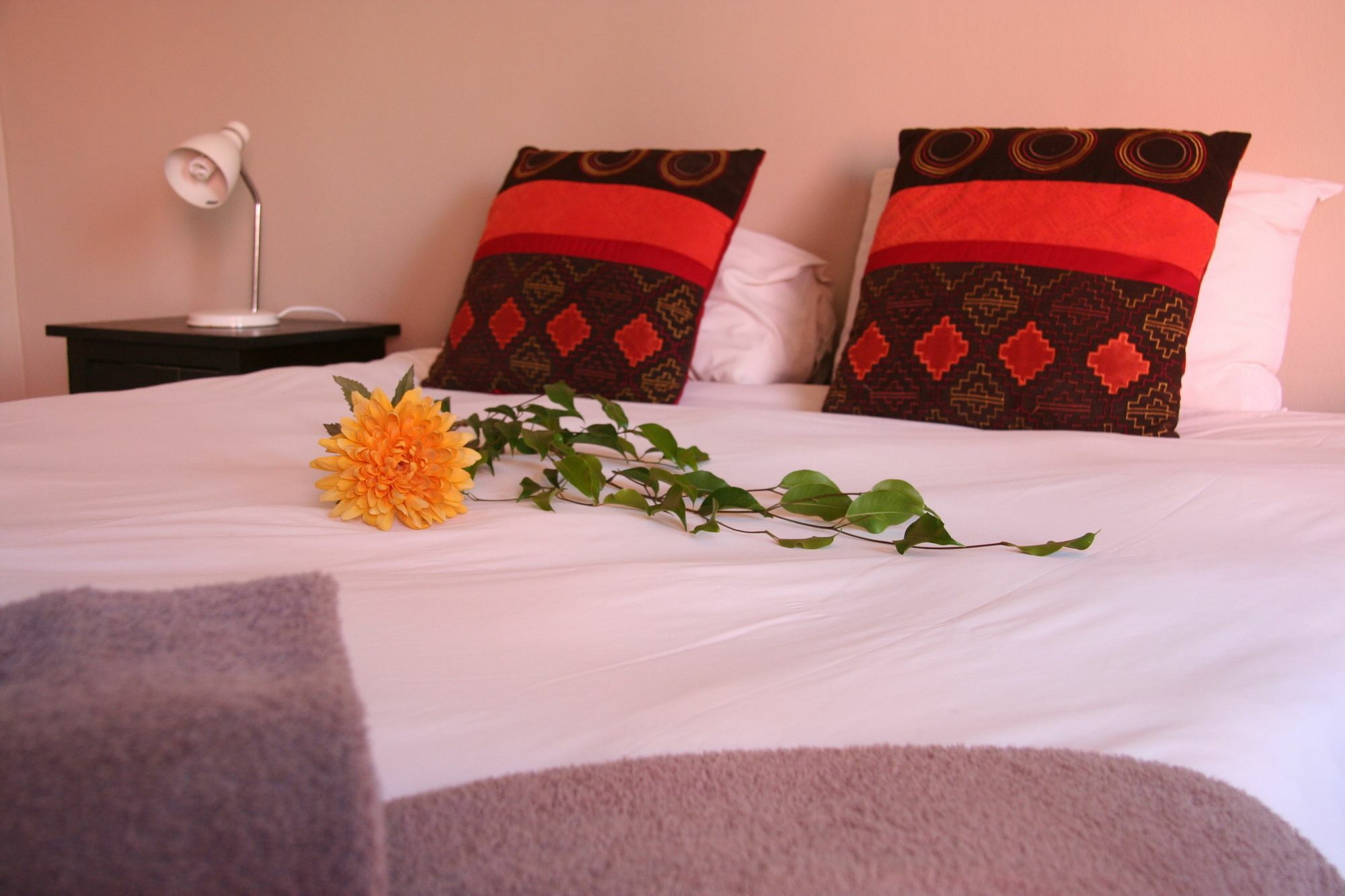 Dunedin Star Guesthouse Swakopmund Extérieur photo